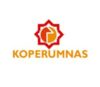 Lowongan Kerja Staf IT di Koperumnas