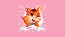 Lowongan Kerja Graphic Designer – Social Media Operation – VJ Manager – VIP Operation – Customer Service – Event Operation di YayaLive - Jakarta