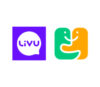Lowongan Kerja Host Live Streaming di Aplikasi Livu (YAAR)