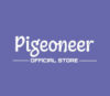 Lowongan Kerja Admin Online di Pigeoneer STORE