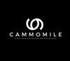 Lowongan Kerja Staff Gudang Online (Order Processing) – Livestream Shopping Staff (Content Creator) di Cammomile