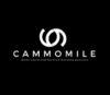 Loker Cammomile