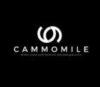 Lowongan Kerja Staff Gudang Online – Livestream Shopping Staff – Sewing Operator di Cammomile