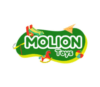 Lowongan Kerja Kepala Marketing – Marketing Staff di PT. Molion Toys Indonesia