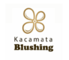 Lowongan Kerja Creative Marketing di Kacamata Blushing