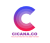 Lowongan Kerja Talent Acquisition & Development di PT. Cicana Indonesia Corp